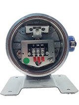 Interruptor de Pressão Ettore Cella Maxxur 0 a 40Bar - Cabo Eletro